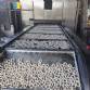 Linha cont�nua pingadeira dosadora com forno para biscoito pingado polvilho amanteigado Forma�o