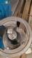 Bomba centr�fuga sanit�ria Castinox com motor WEG 2 CV
