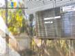 Tanque reservat�rio vertical em a�o inox AISI 304 60.000 litros Theodosio Randon