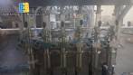 Envasadora com 6 pist�es Nelpas